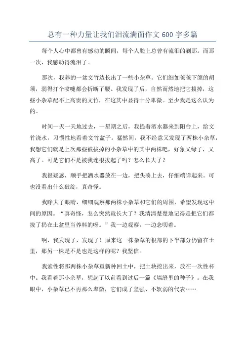 总有一种力量让我们泪流满面作文600字多篇