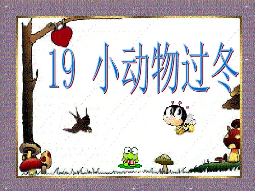 《小动物过冬》PPT课件