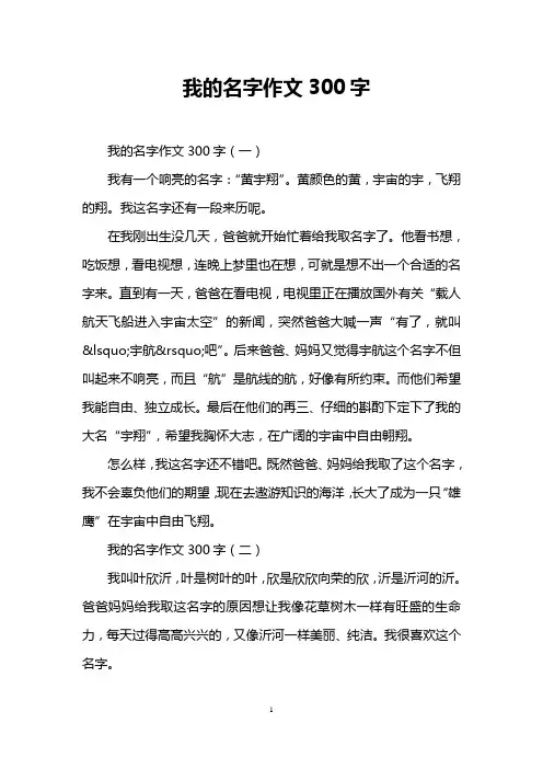 我的名字作文300字