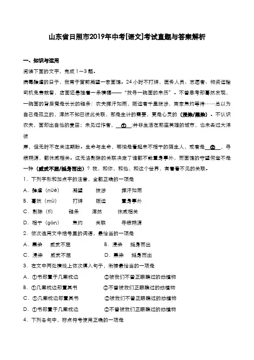 山东省日照市2019年中考[语文]考试真题与答案解析