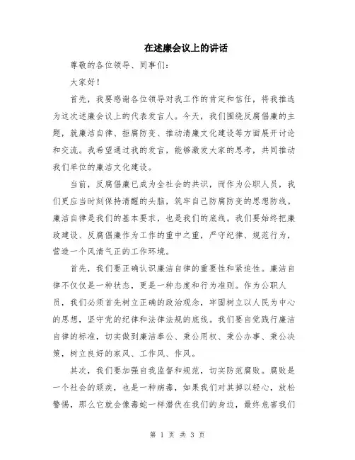 在述廉会议上的讲话