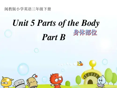 最新闵教版小学英语三年级下学期Unit 5 Parts of the Body