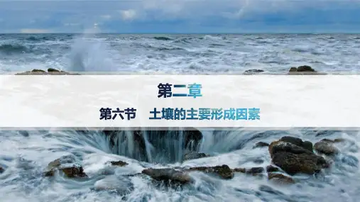 中图版高中地理必修第一册精品课件 第2章 自然地理要素及现象 第6节 土壤的主要形成因素
