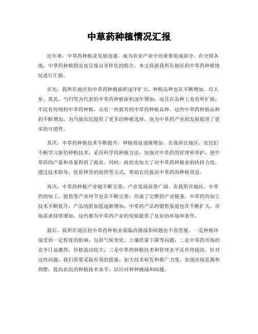 中草药种植情况汇报