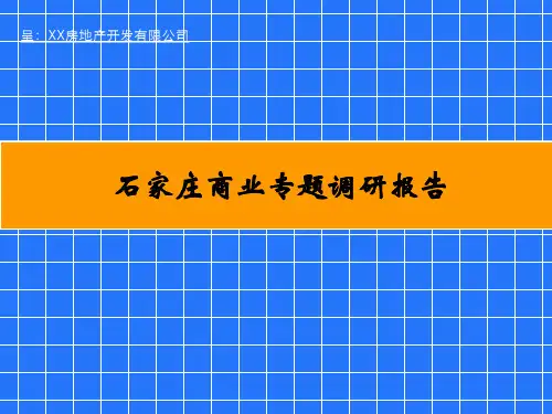 石家庄市商业市场商圈调研报告