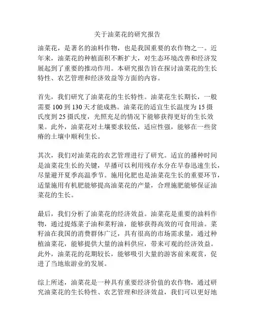 关于油菜花的研究报告