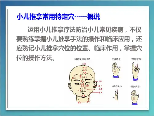 教材图文版-小儿推拿常用穴位及特定穴_PPT课件