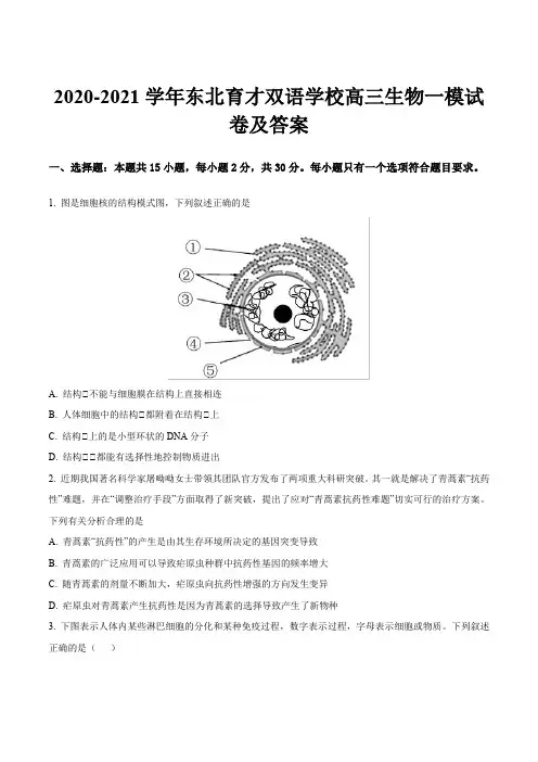 2020-2021学年东北育才双语学校高三生物一模试卷及答案