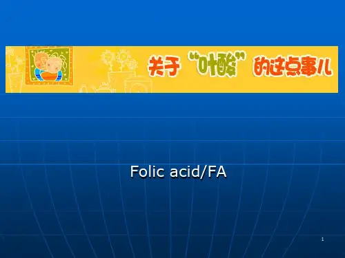 叶酸ppt课件
