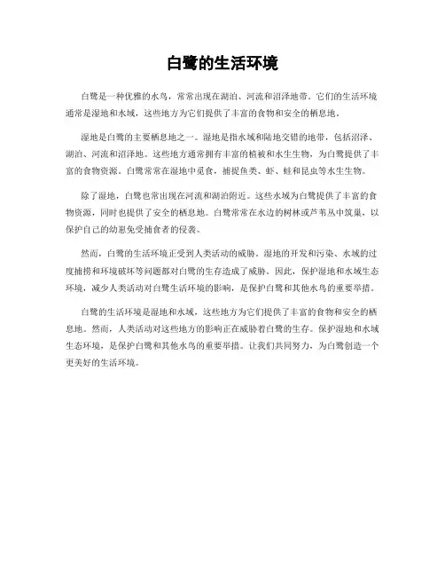 白鹭的生活环境