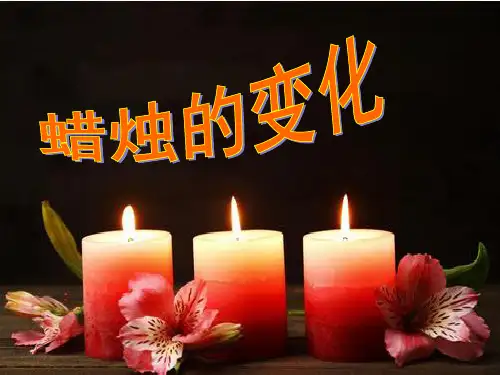 科学苏教版-《蜡烛的变化》课件-完整版