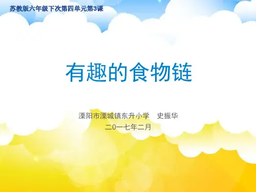 【苏教版】新《有趣的食物链》PPT-优秀