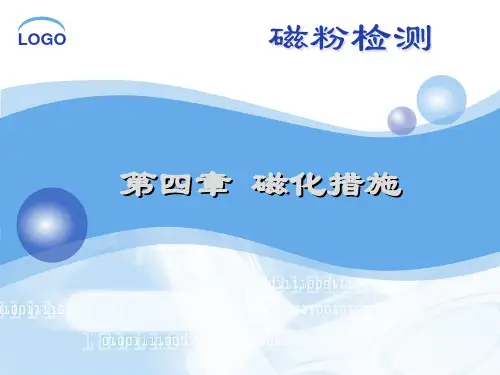磁化方法专题教育课件