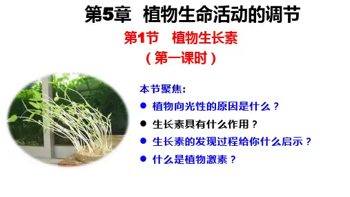 5.1 植物生长素(第一课时)高二生物课件(人教版2019选择性必修1)