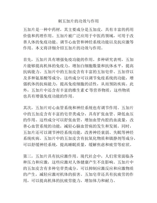 刺五加片的功效与作用