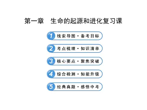 第三章生命起源和生物进化复习课件(人教版生物)
