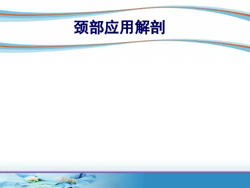颈部应用解剖课件