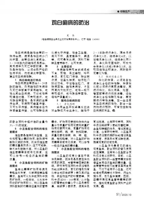 鸡白痢病的防治