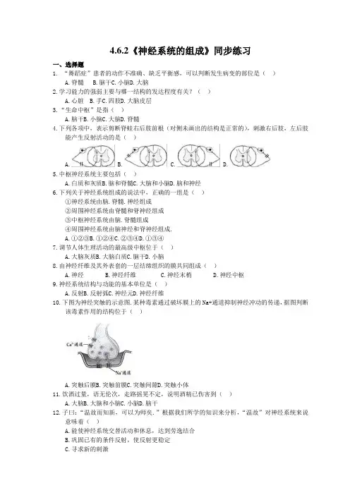 人教版生物七年级下册4.6.2《神经系统的组成》同步练习