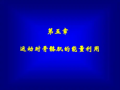 运动生物化学第五章