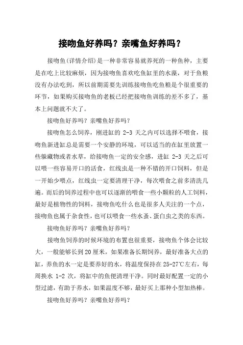 接吻鱼好养吗？亲嘴鱼好养吗？
