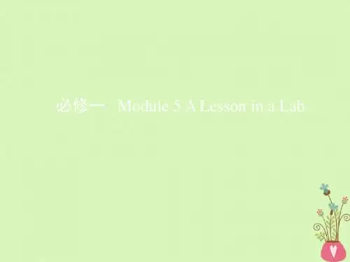2019届高考英语一轮复习第一部分教材课文要点Module5ALessoninaLab课件外研版必修1