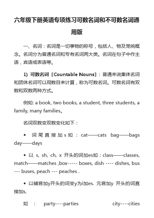 六年级下册英语专项练习可数名词和不可数名词通用版