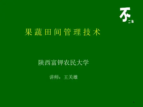 果蔬田间管理技术PPT精选文档