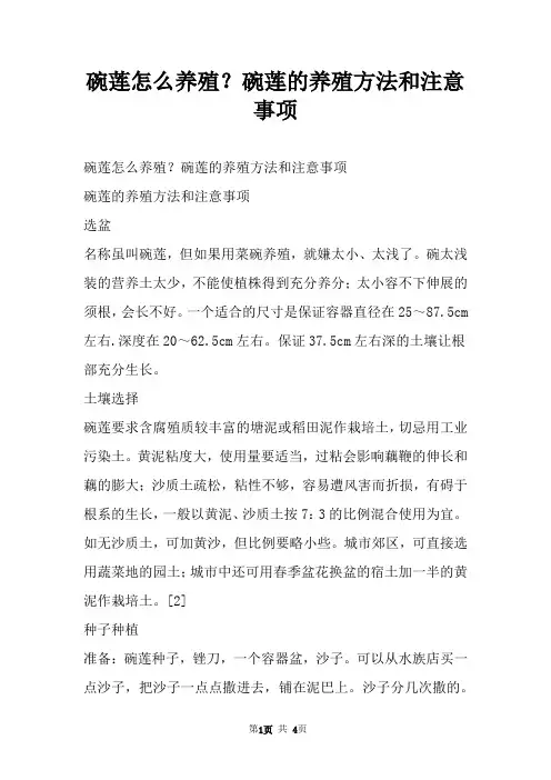 碗莲怎么养殖？碗莲的养殖方法和注意事项