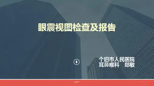 眼震视图检查及报告  ppt课件