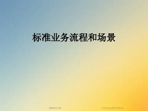 标准业务流程和场景