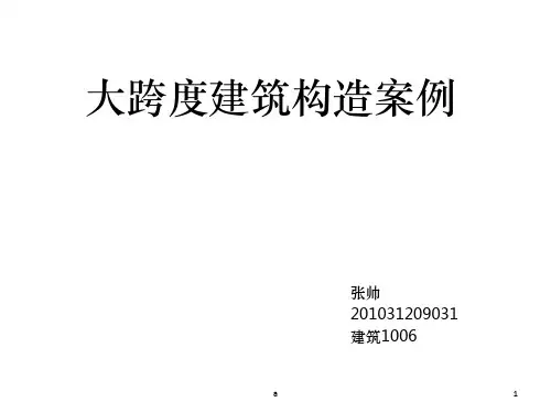 大跨度建筑构造案例
