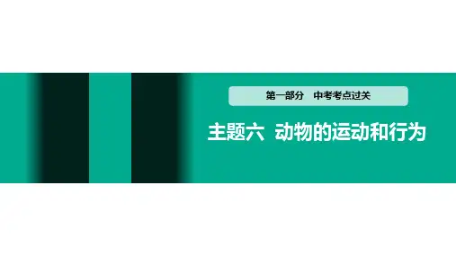 初中生物中考复习 主题六 动物的运动和行为
