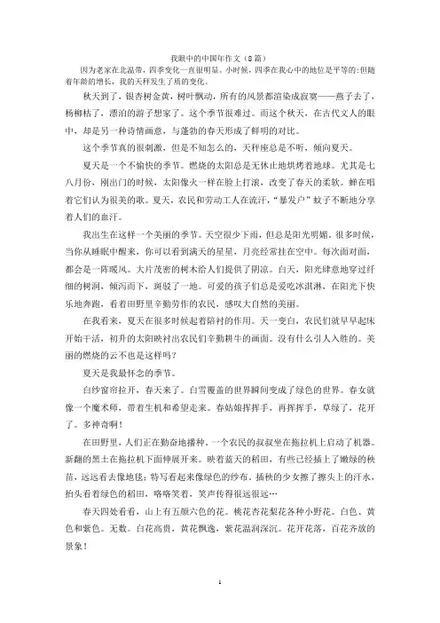 我眼中的中国年作文(8篇)