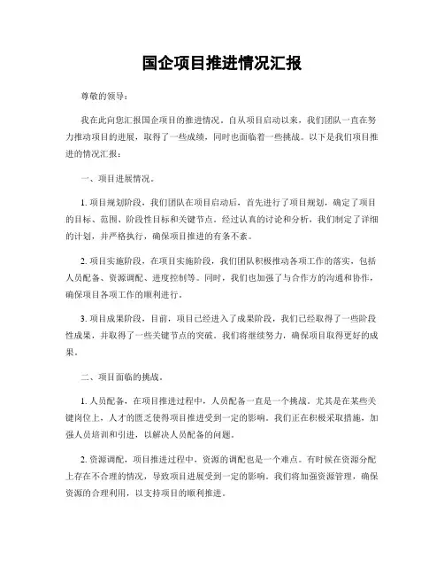 国企项目推进情况汇报