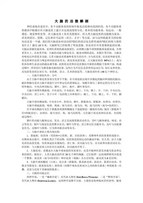 大 脑  功 能 解 剖