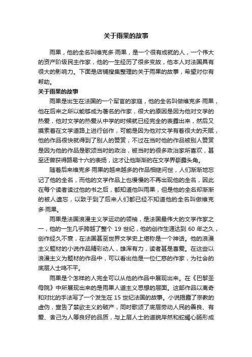 关于雨果的故事