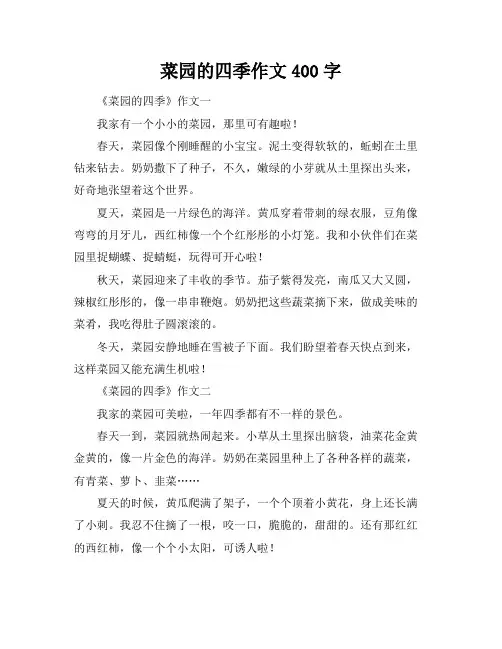菜园的四季作文400字