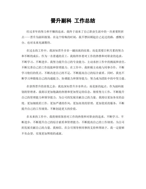 晋升副科 工作总结