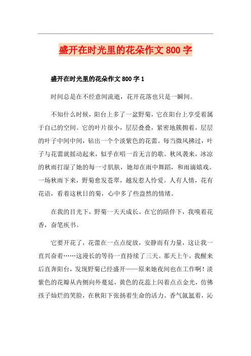 盛开在时光里的花朵作文800字 3