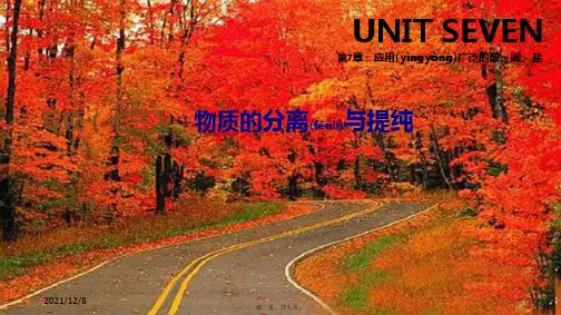 中考化学专项复习 专项(十三)物质的分离与提纯课件
