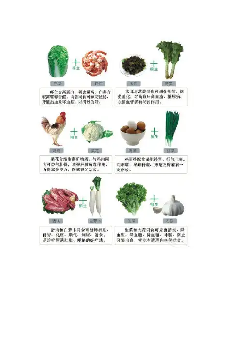 食物相生相克图表