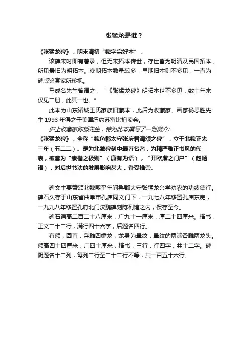 张猛龙是谁？