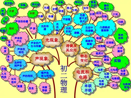 初中物理知识树(全)分析