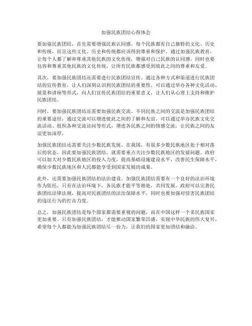 加强民族团结心得体会
