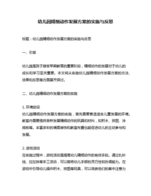 幼儿园精细动作发展方案的实施与反思