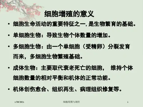 细胞周期与调控培训课件