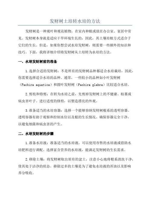 发财树土培转水培的方法