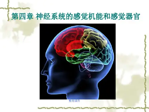 动物生理学第9章感觉机能和感觉器官