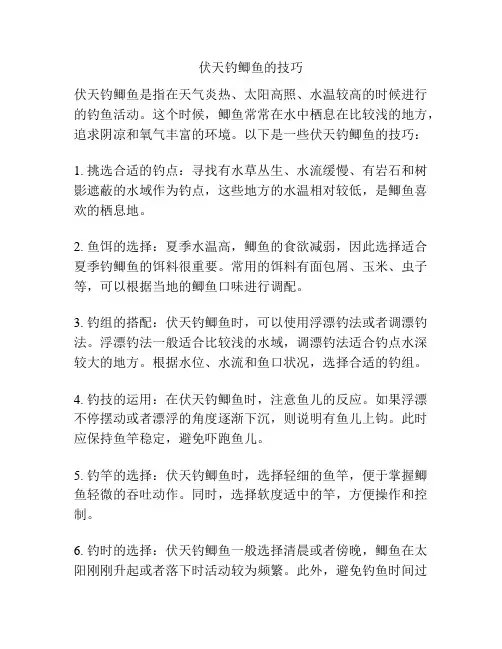 伏天钓鲫鱼的技巧